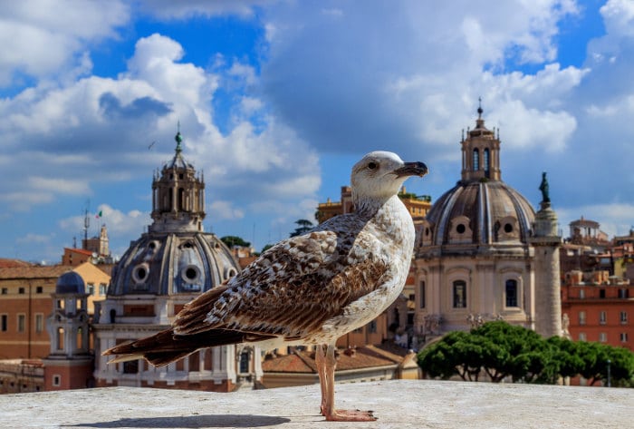 Rome City Center Itinerary – What to See and Do Rome City Center Itinerary – What to See and Do