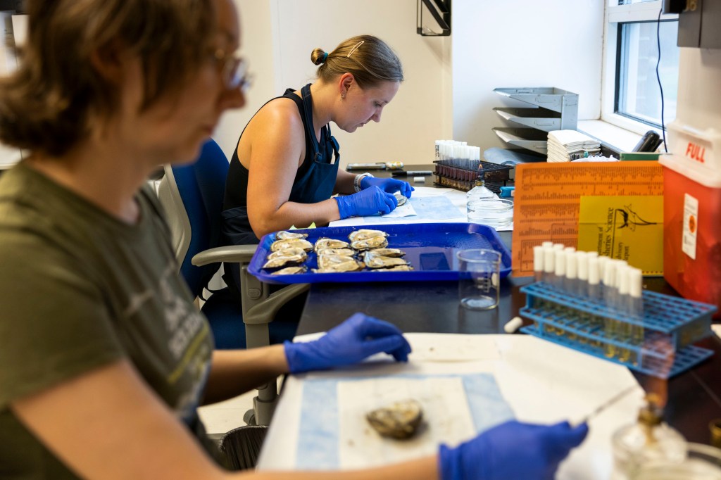 Editorial: Transformational donations complement William & Mary’s marine sciences efforts